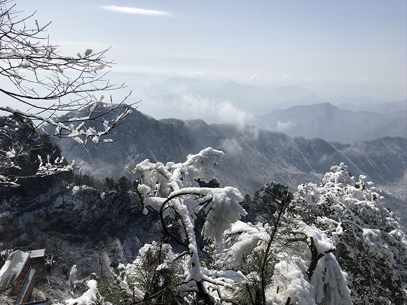 首諾信十年十座山